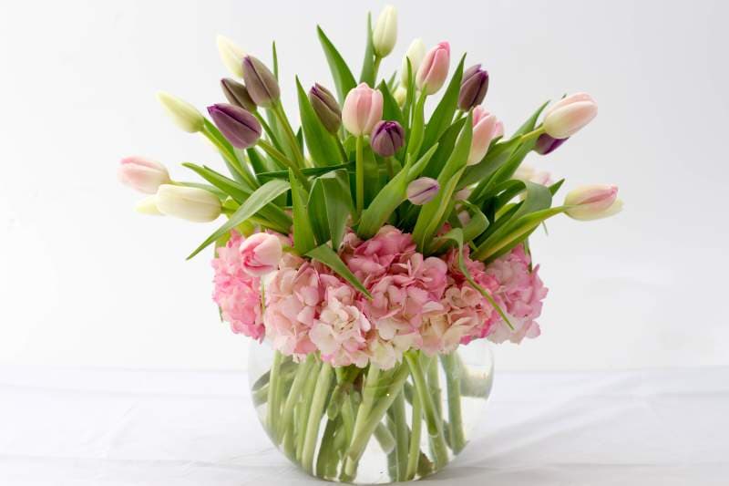Tulips Garden-Bee's Flower Exclusive