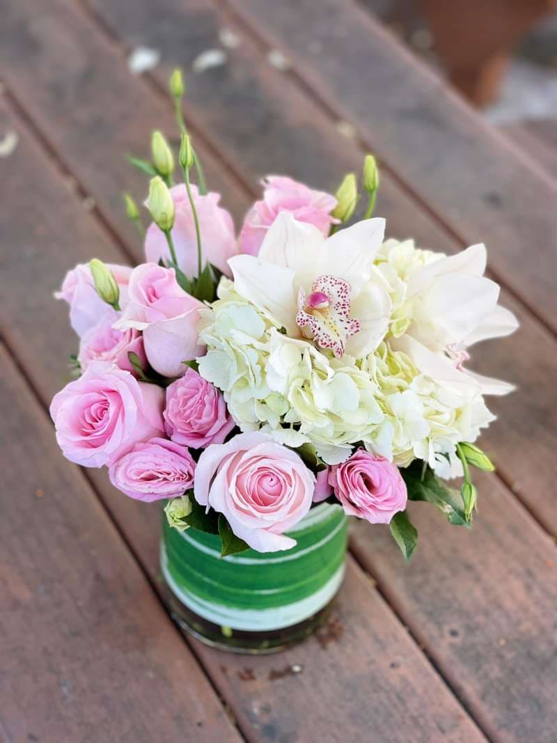Ladies Day (Pink and White)