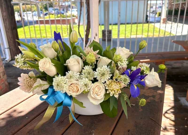 Bliss (White and Blue)